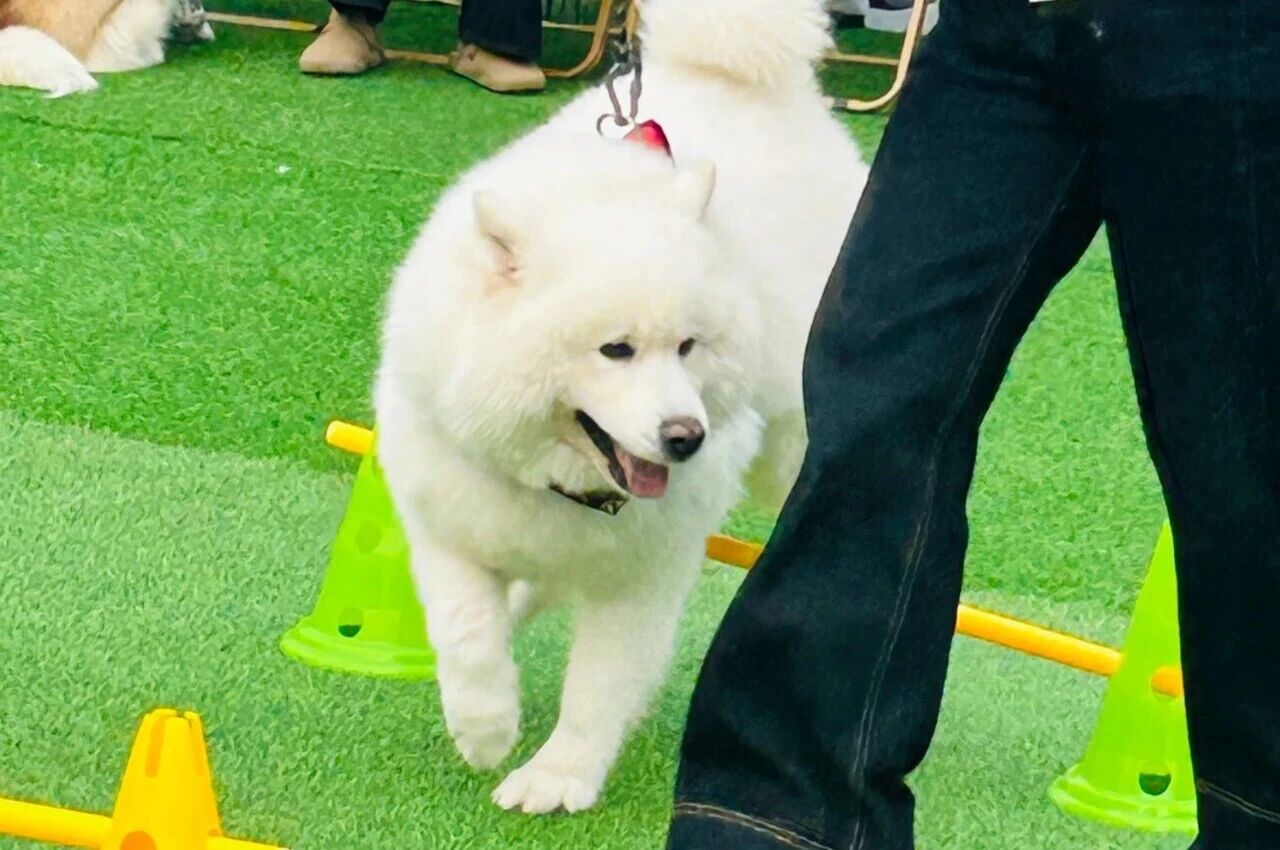 692eb75fca286 1277ÐǼʵç×Ó(ÖйúÓÎ)¹Ù·½ÓÎÏ·ÍøÖ·