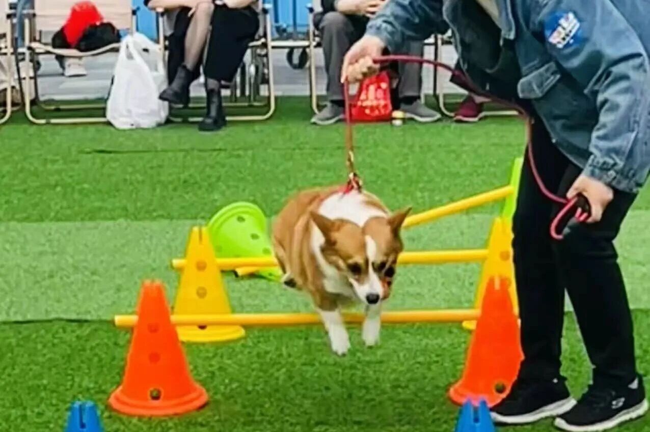 692eb766e2309 1277ÐǼʵç×Ó(ÖйúÓÎ)¹Ù·½ÓÎÏ·ÍøÖ·