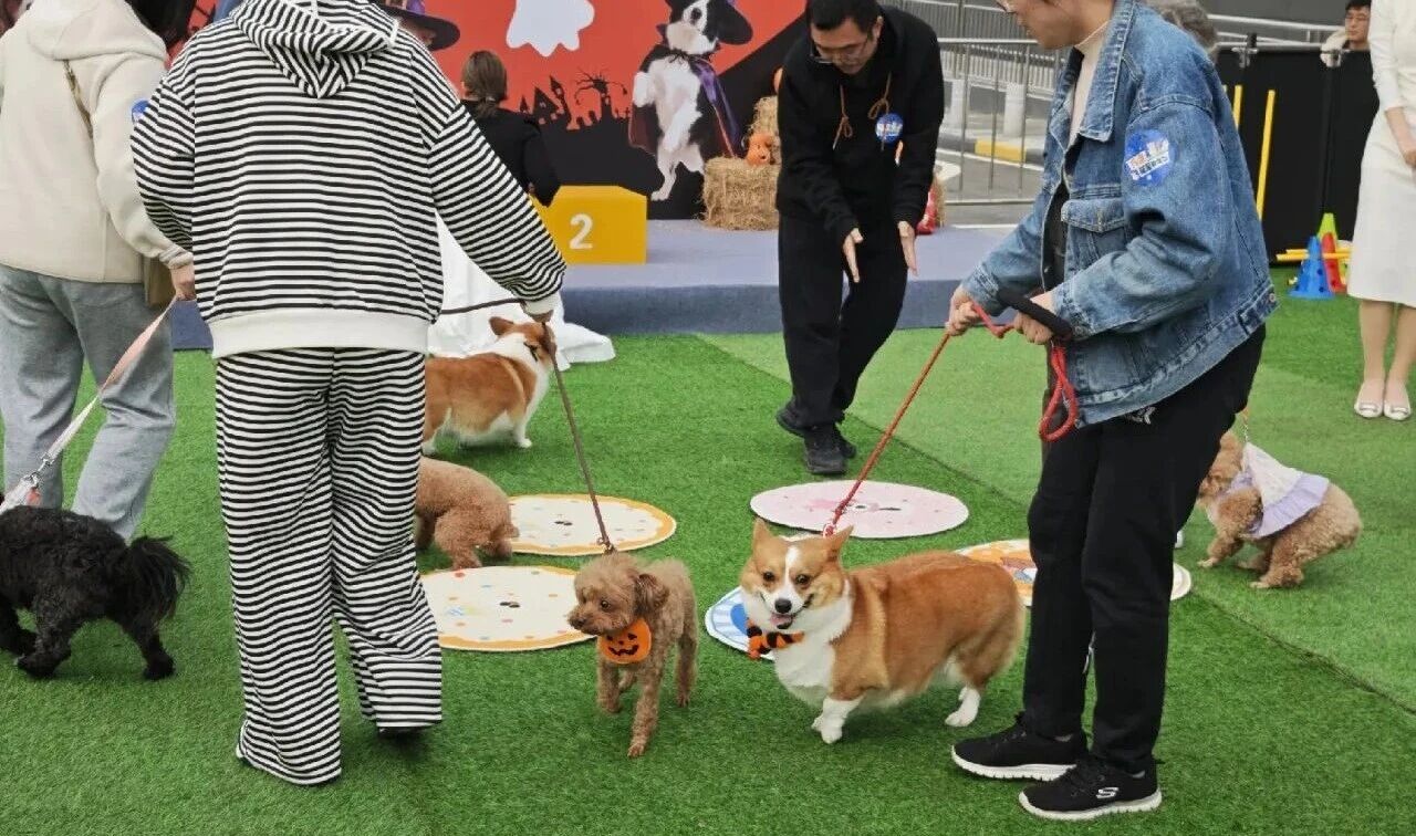 692eb77046c27 1277ÐǼʵç×Ó(ÖйúÓÎ)¹Ù·½ÓÎÏ·ÍøÖ·