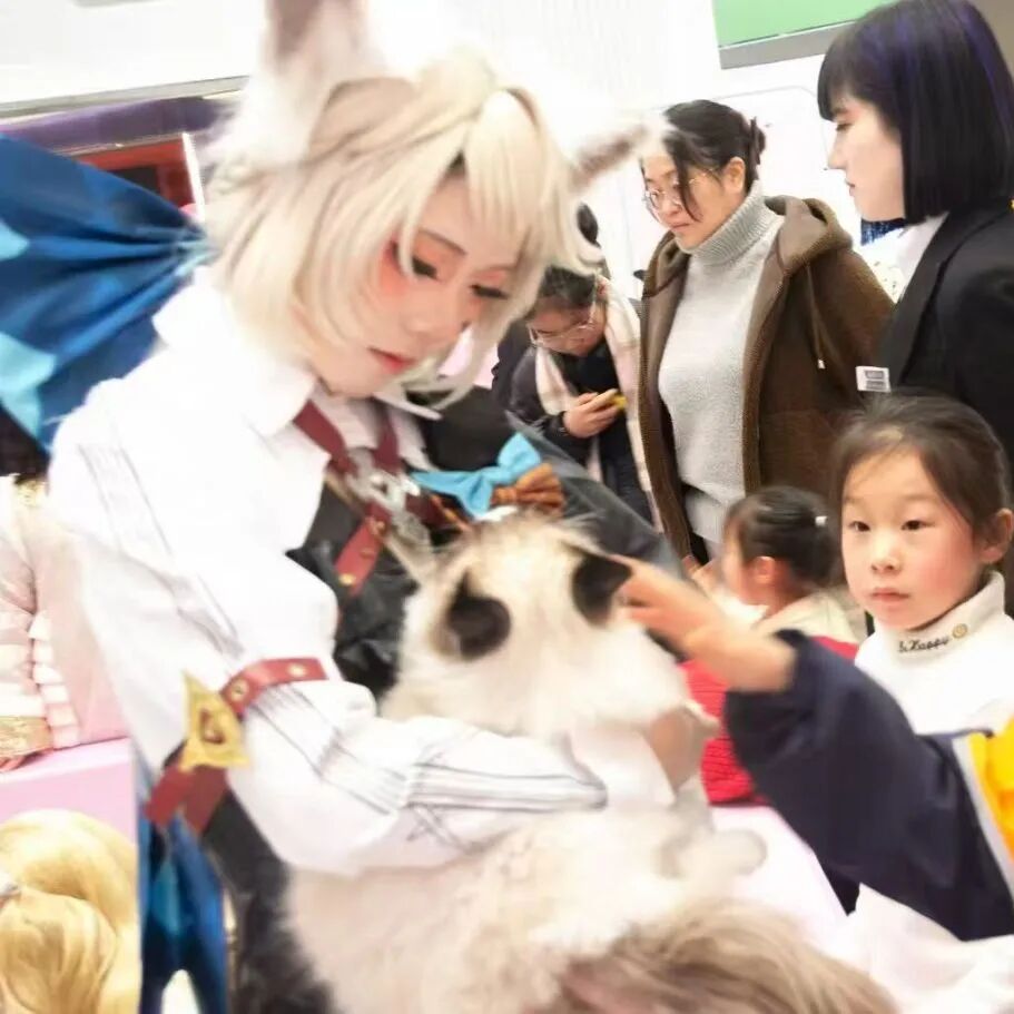 1277�Ǽʵ���(�й���)�ٷ���Ϸ��ַ